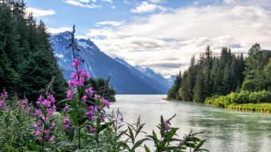 Haines
