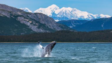 Icy Strait Point